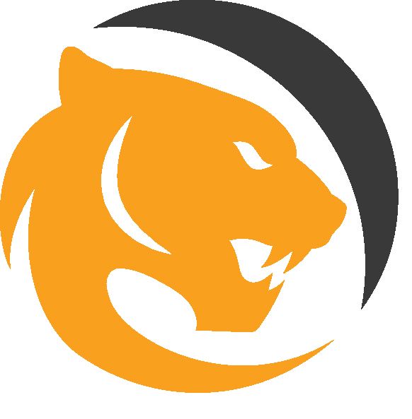 OrderTigerOriginalLogo copy